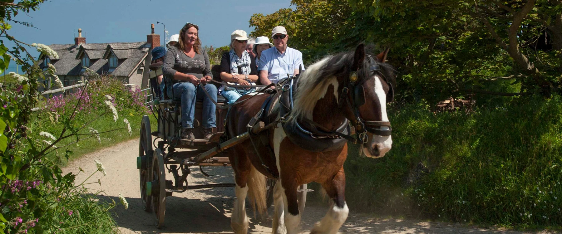 Sark Carriage Tours