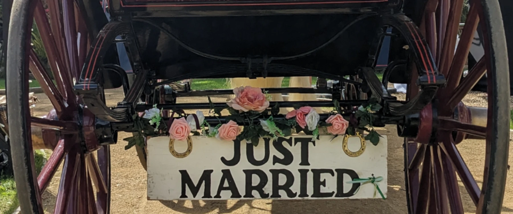 Sark Wedding