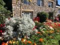 beautiful flower garden